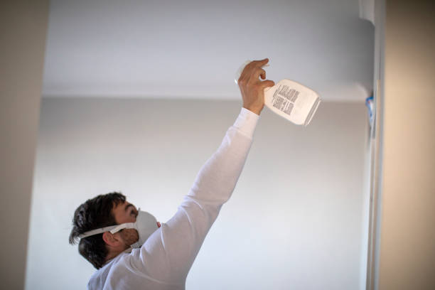 Best Same-Day Mold Removal  in Mentone, CA