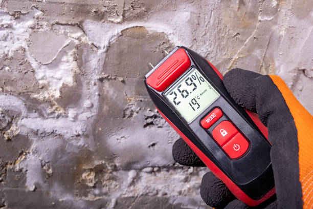 Best Residential Mold Removal  in Mentone, CA